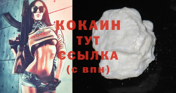 ГАЛЛЮЦИНОГЕННЫЕ ГРИБЫ Костерёво