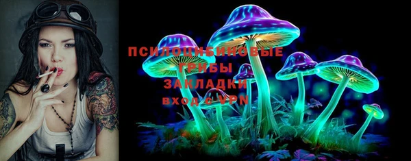 твердый Краснотурьинск