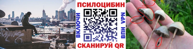Галлюциногенные грибы Cubensis  Купить  Химки 